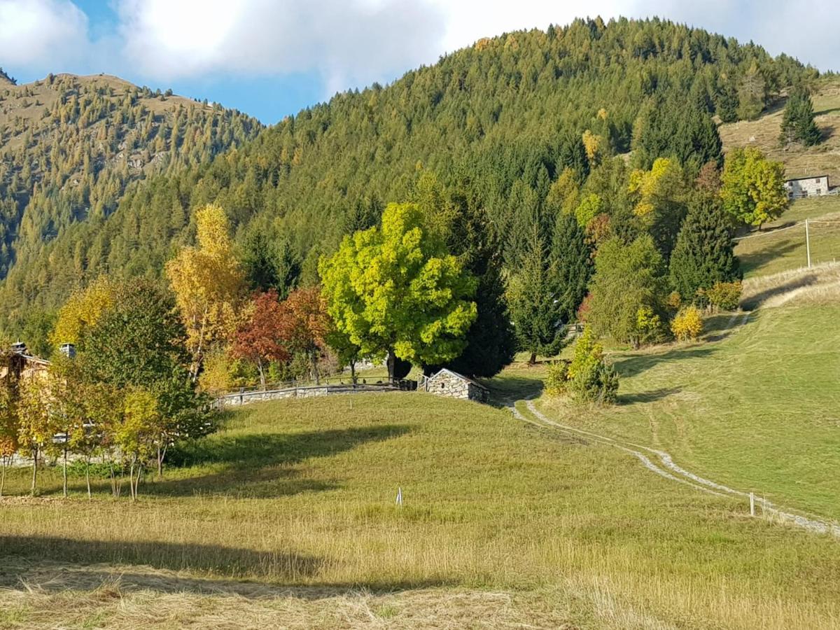 Ca Marinet 1931 - Tresivio - Sondrio Leilighet Eksteriør bilde